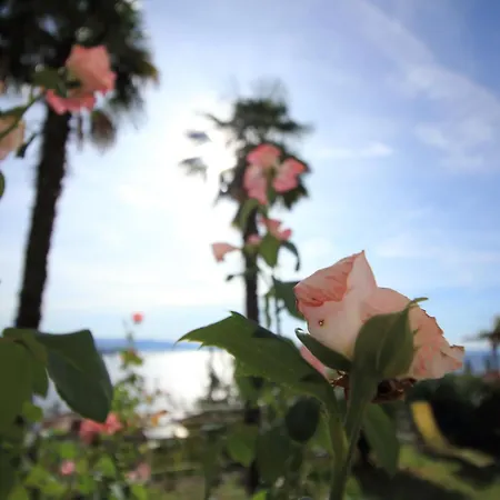 Tramontana - Cozy And Charming Close To Sea Appartement *